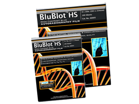 BluBlot blotting film